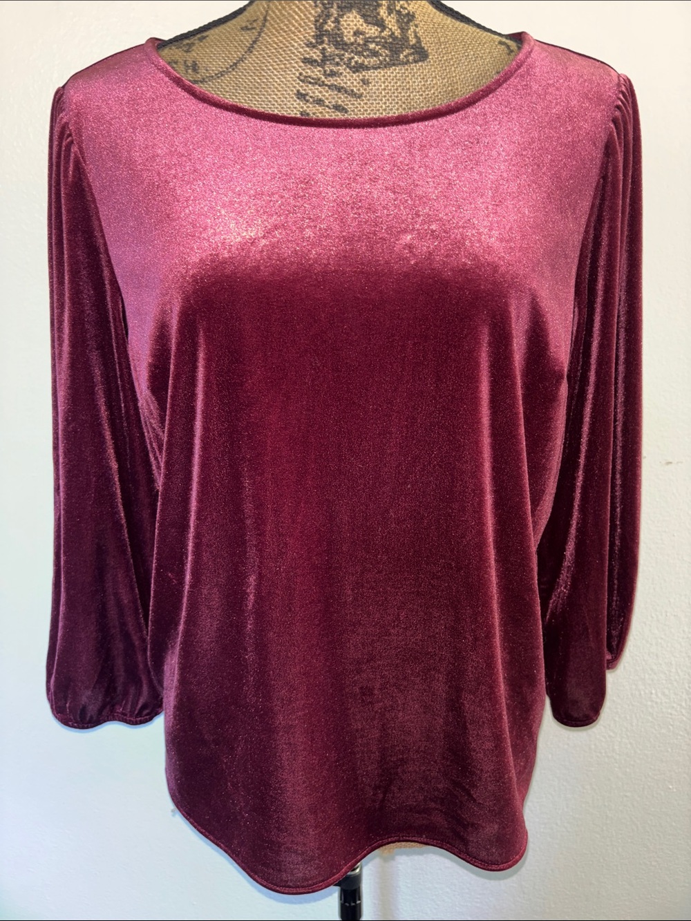 GAP Sz M Women’s Velvet Long-Sleeve Top - Wine Pink